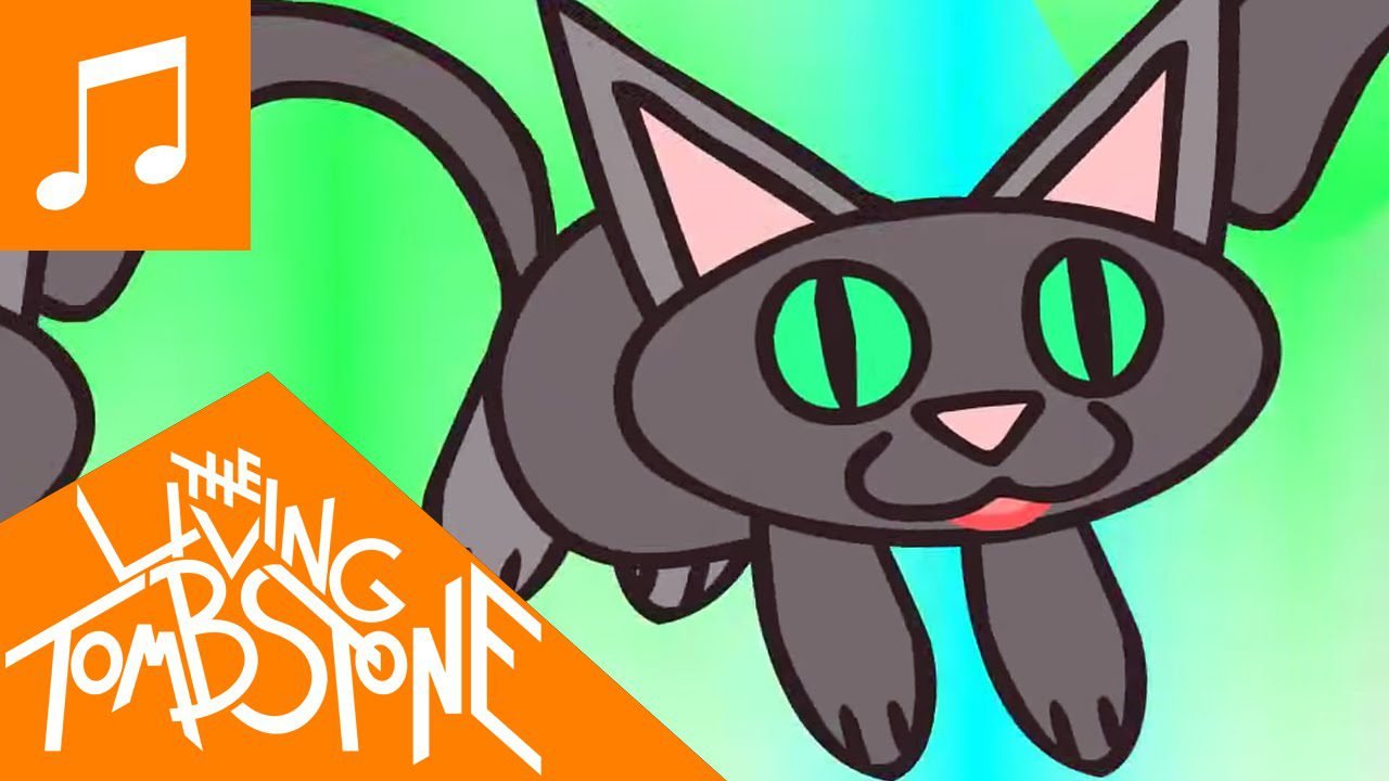Music Video – Cats Music Video – Cats