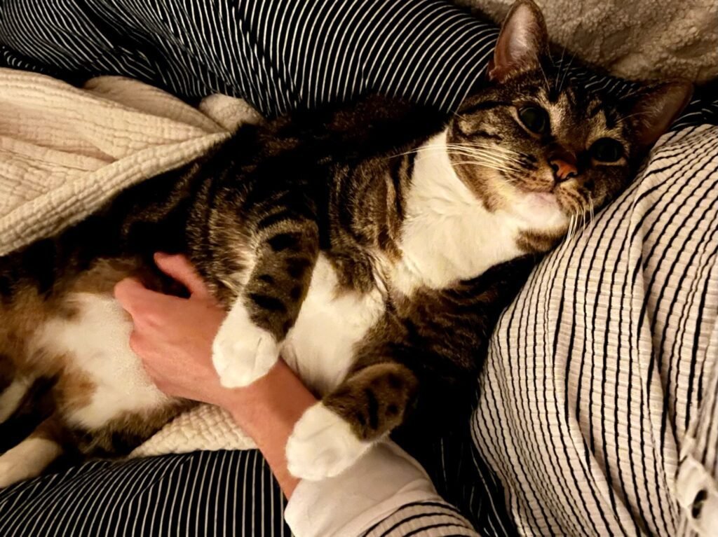 Happy #TRT – Tummy Rub Tuesday (Week 429)