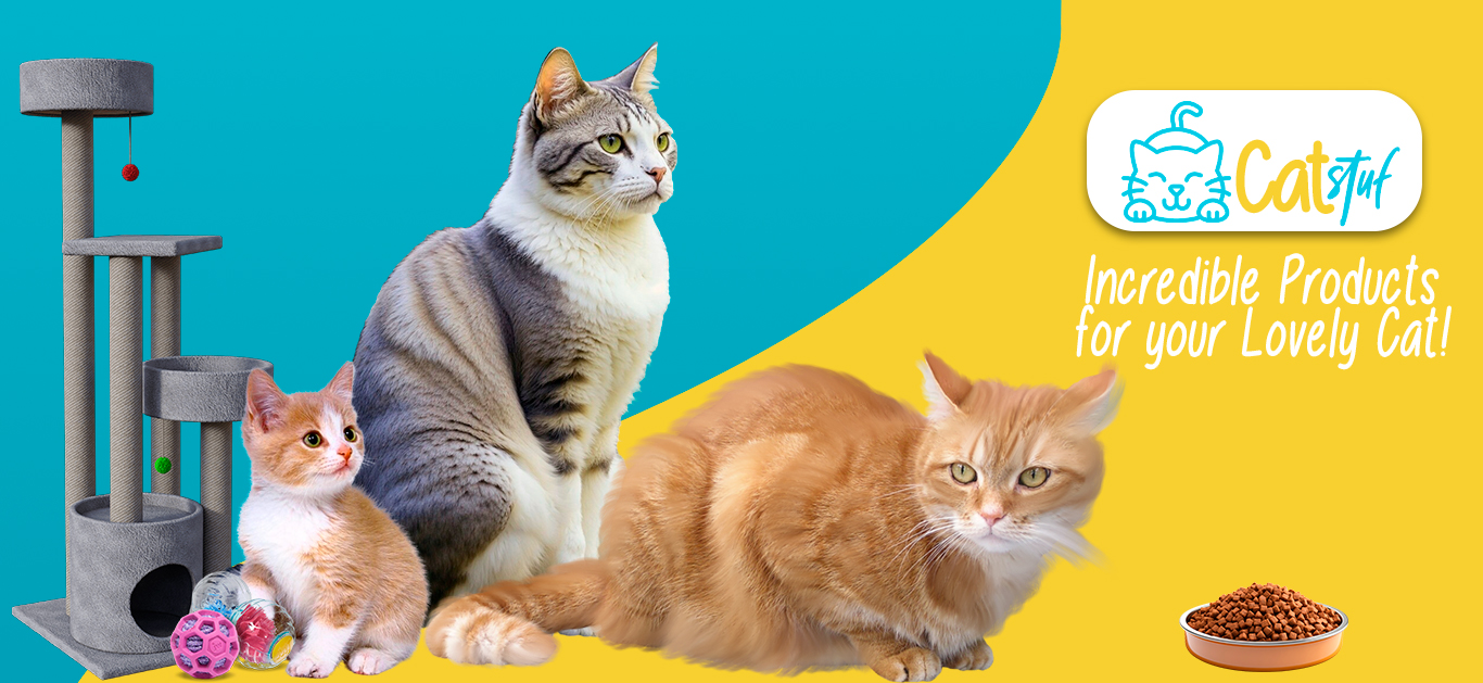 CatStuf - Home